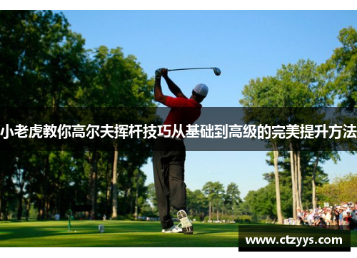 小老虎教你高尔夫挥杆技巧从基础到高级的完美提升方法